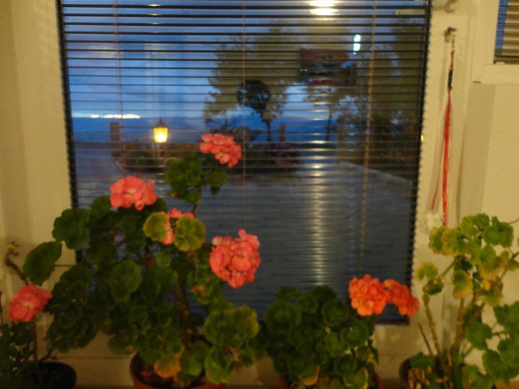 Apartmani Bakule Pestani Luaran gambar